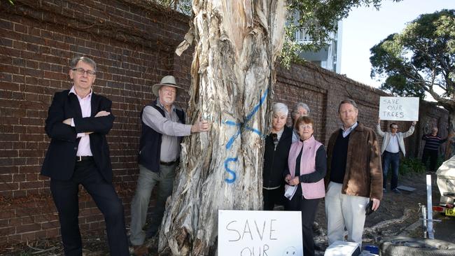 Councillor Andrew Ferguson, Rod Jeffery, Marie Fitzgerald, Gail West, Jan Holahan, Charles Jago, Rabi Fares and Ian West pose for a photograph at Mortlake. Picture: Craig Wilson.