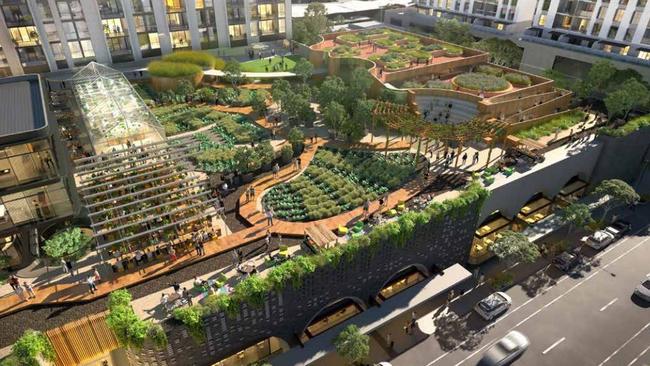 Aerial view of the rooftop urban farm. Picture: Hames Sharley