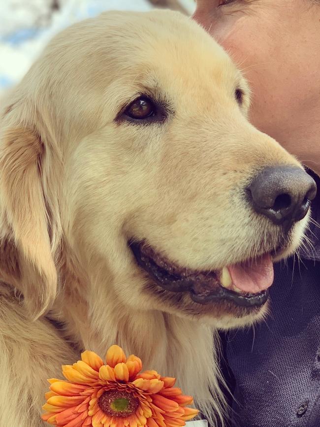 Max, sent in by Rachel Thamm, Valley View.