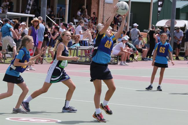 The Netball Qld Primary Schools Cup grand finals are being held at the Hinterland District Netball Association at Mudgeeraba. Picture: Mike Batterham.