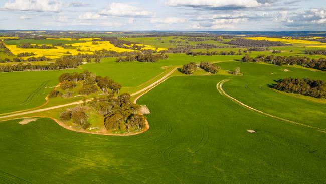 Cherylton Farms, bought by Excel Farms, for more than $100 million in early 2023.