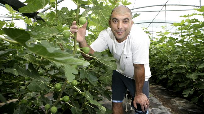 Farmer’s Gate: Gebran Azzi owns a fig farm and sells them at a fruit stall at 999 Old Northern Road, Dural.