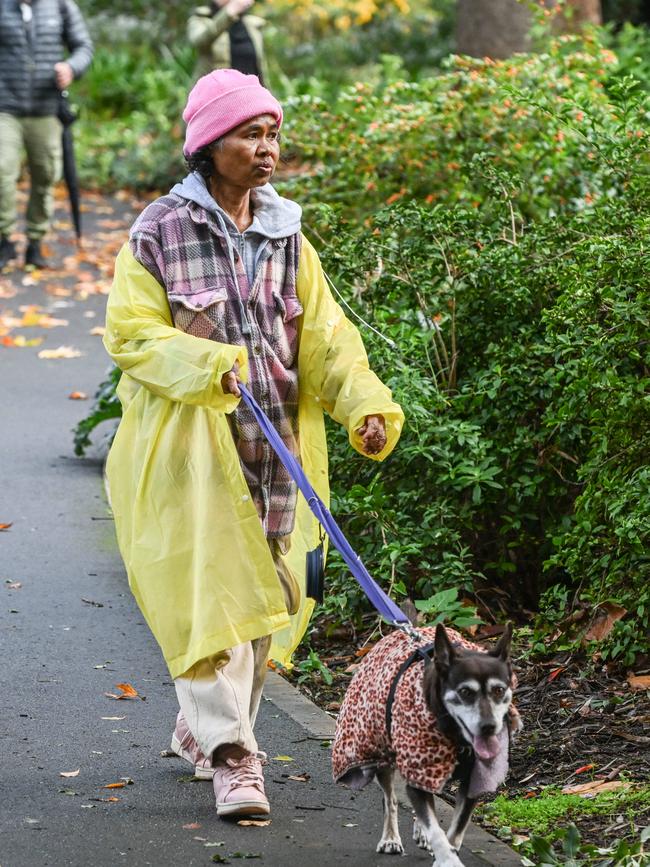 Million Paws Walk at Adelaide Botanic Gardens. Picture: Brenton Edwards