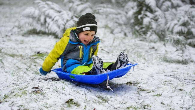 Charlie enjoying a play in the snow. Picture: Jay Town