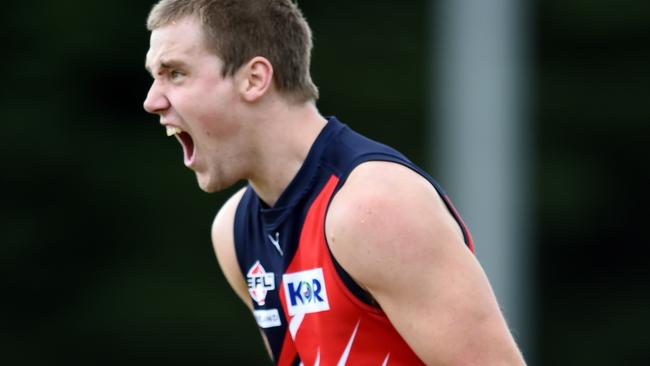 EFL Football: Waverley Blues v East Burwood at Mt Waverley Reserve. Blues forward Matt Perry is ecstatic at his goal. Picture: Steve Tanner