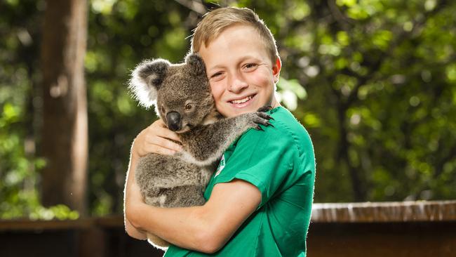 How our Australian wildlife is recovering post-bushfires.Koalas in recovery at Currumbin Wildlife Hospital.11-year-old Finley Kelly with a happy koala.Picture: NIGEL HALLETT