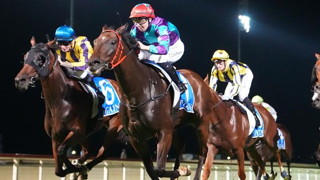 Wascaly can again give his rivals something to chase when he heads to Sandown on Wednesday. Picture: Racing Photos