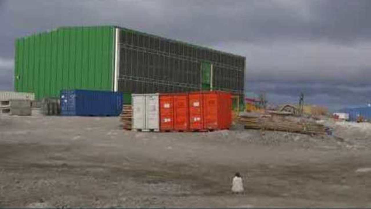 Curious Penguin Checks Out New Solar Farm in Antarctica