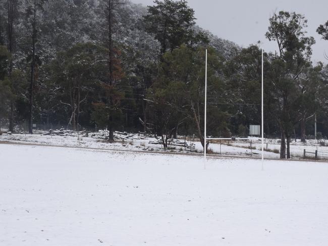 FROZEN: The last major snowfall for the Granite Belt was in 2015. Photo: Alex Nolan / Stanthorpe Border Post