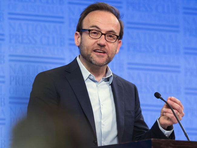 Greens leader Adam Bandt says the federal government should look into launching a search engine. Picture: NCA NewsWire / Gary Ramage