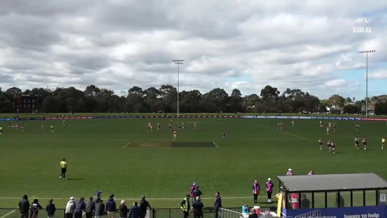 Replay: Sandringham Dragons v Dandenong Stingrays – AFL Coates Talent League boys preliminary final