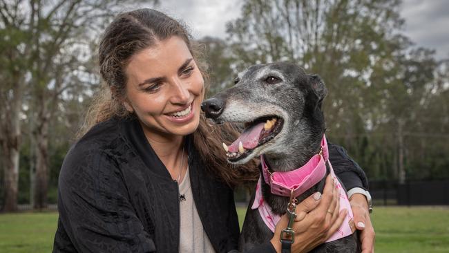 Miss Pink the greyhound is loving retirement after her career racing. Picture: Chris Pavlich Photography