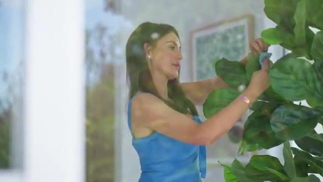 Nothin’s sexier than a gal who knows how to scrub her fiddle leaf fig.