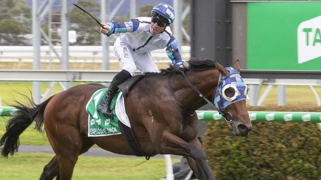 Triple Derby winner Explosive Jack is among the 174 Melbourne Cup nominations, which includes 18 from the Ciaron Maher and David Eustace stable. Picture: Atkins Photography