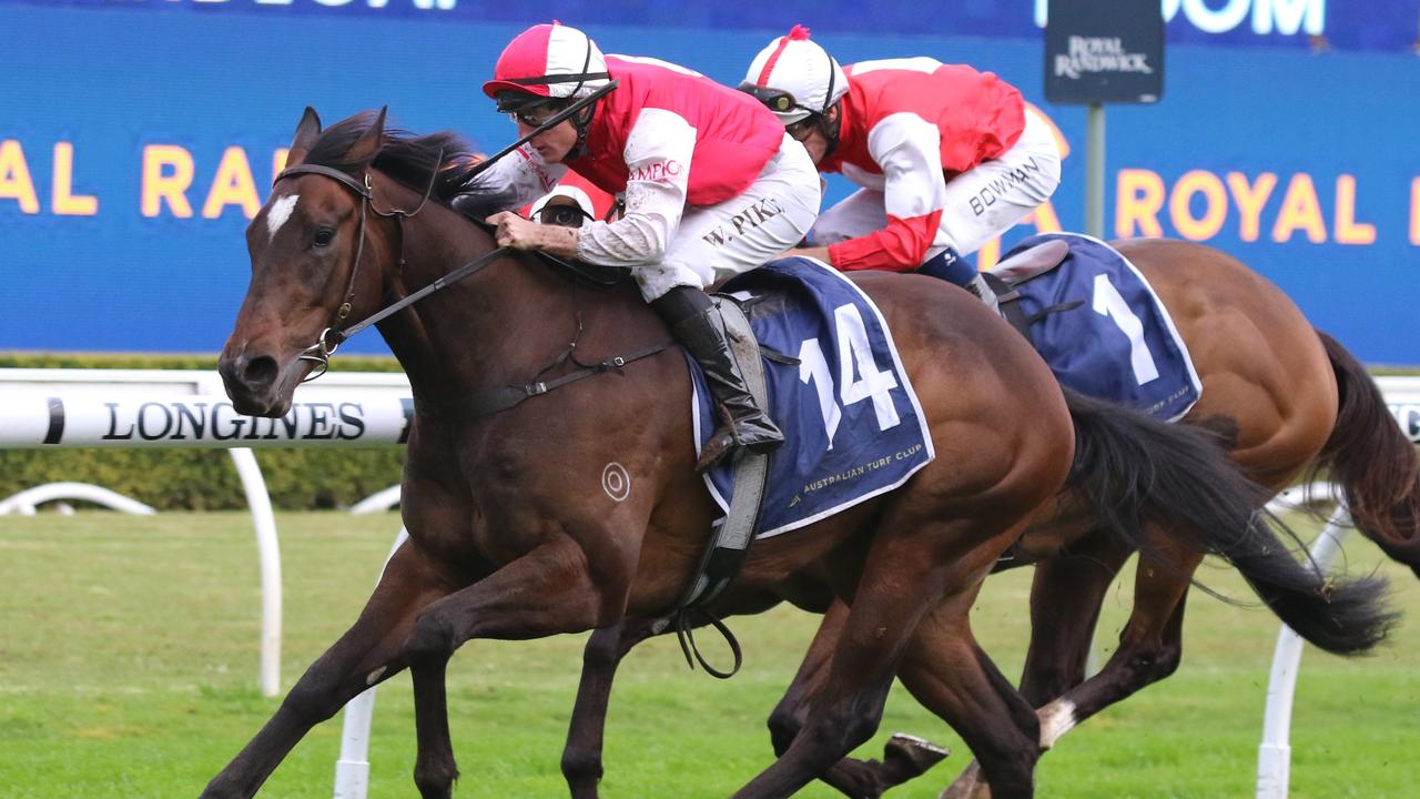 Hell I Am can make it back-to-back wins in the Gosford Guineas. Picture: Grant Guy