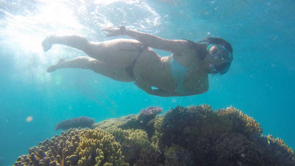 HERE AND NOW: A photo of a snorkeller on the reef in the Whitsundays post Cyclone Debbie. Picture: Ocean Rafting