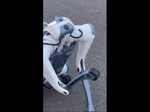 Chery's 'Dorry' robot dog