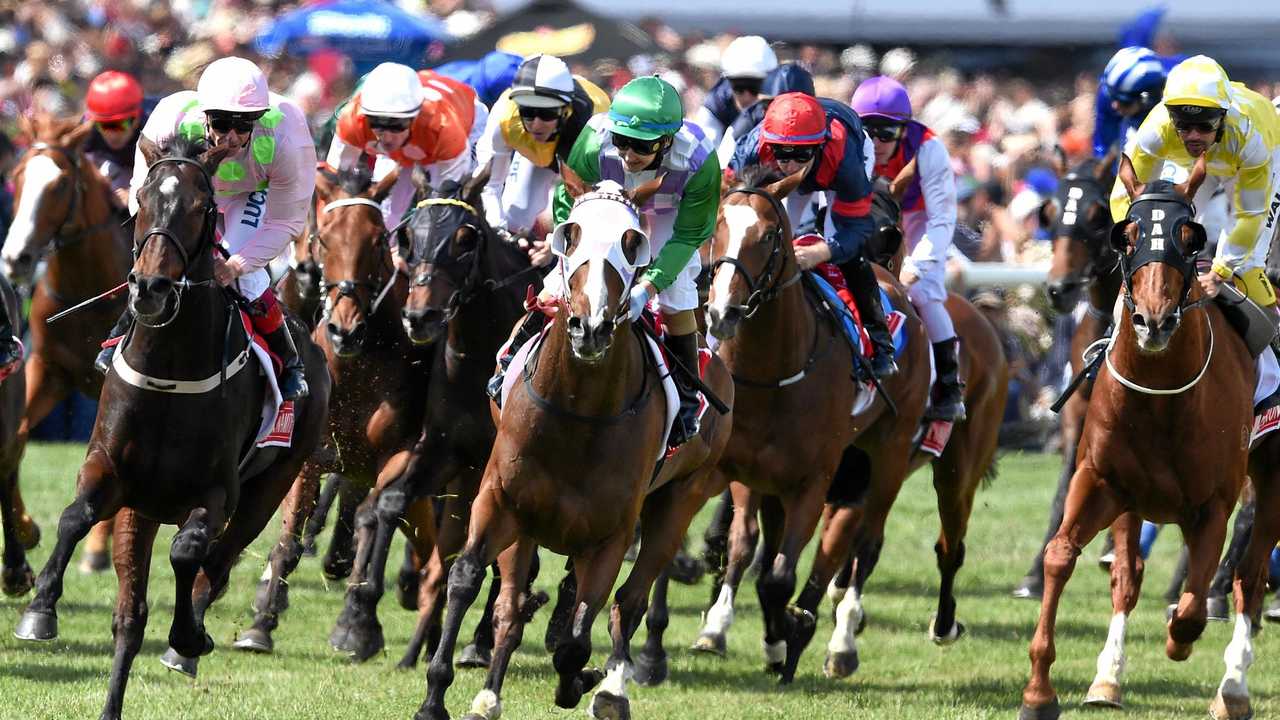 Your Stars For The Melbourne Cup | The Chronicle