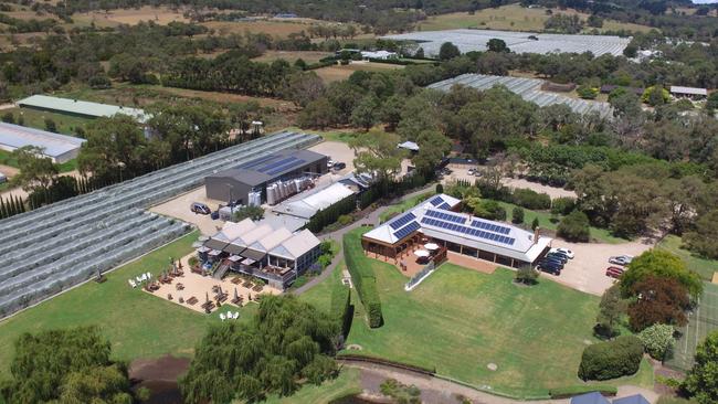 Solar panels installed on the roof at Crittenden Estate Wines.