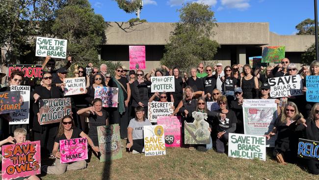 A decision to allow a Harry Potter event in a Mount Martha wildlife sanctuary sparked local protests and a global backlash. Picture: Lucy Callander