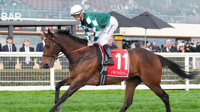 Place Du Carrousel won a trial for trainers Anthony and Sam Freedman at Cranbourne on Monday morning. Picture: Racing Photos via Getty Images