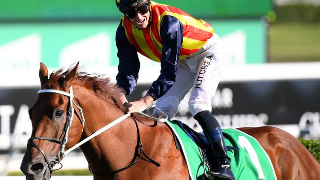 Nature Strip will attract plenty of attention from slot holders in The Everest after his TJ Smith Stakes triumph. Picture: AAP