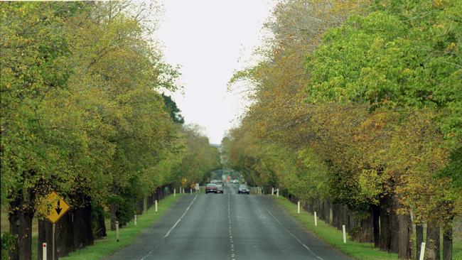 Ballarat’s Avenue of Honour transforms into a spectacle of colour in autumn.