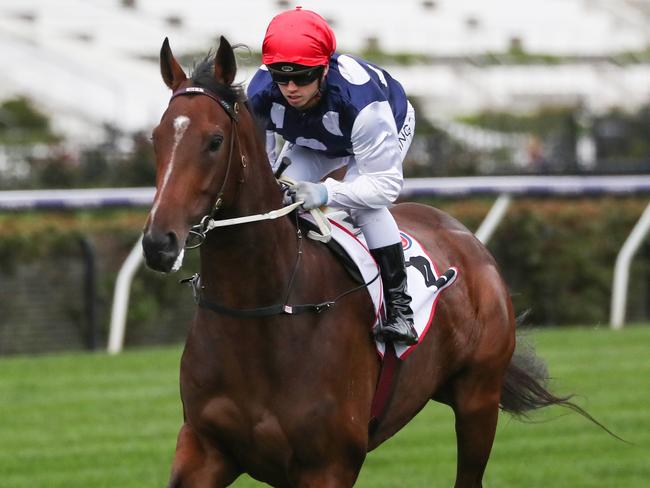 Johnny Get Angry (NZ) ridden by Lachlan King on the way to the barriers prior to the running of the PFD Food Services Makybe Diva Stakes at Flemington Racecourse on September 11, 2021 in Flemington, Australia. (George Salpigtidis/Racing Photos via Getty Images)