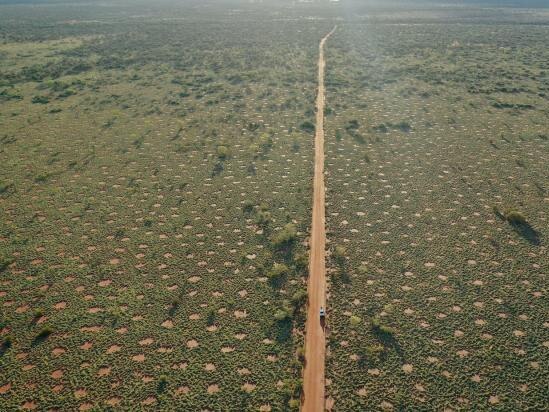 Drone photograph of ‘fairy circles’ in spinifex on Nyiyaparli people's country, east Pilbara, Western Australia. Photo by Dave Wells, Author provided