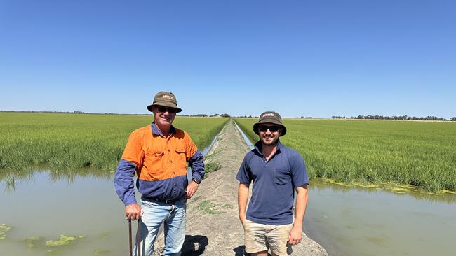 Glen Andreazza and son Daniel of Willbriggie in the Murrumbidgee Irrigation Area with their rice crop in the background. Picture: Supplied