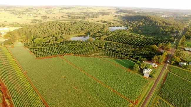 FARMING LAND: 81 Rankin Rd shares a boundary with 115 Lucketts Rd providing a rare opportunity for crop growers. Picture: Contributed