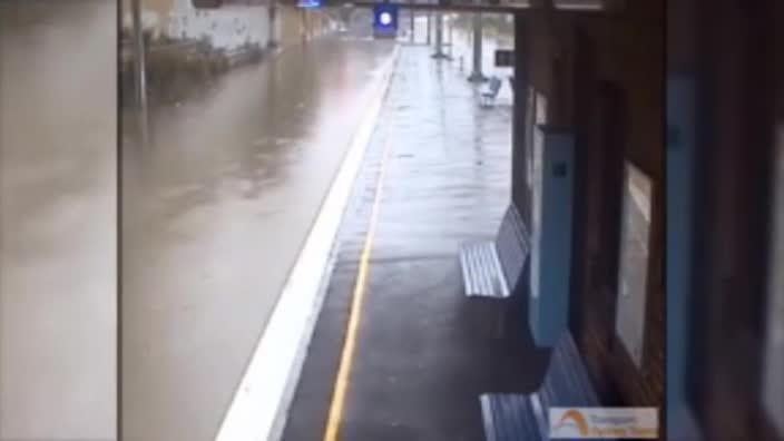 Bardwell Park train station gets swamped in Sydney storms