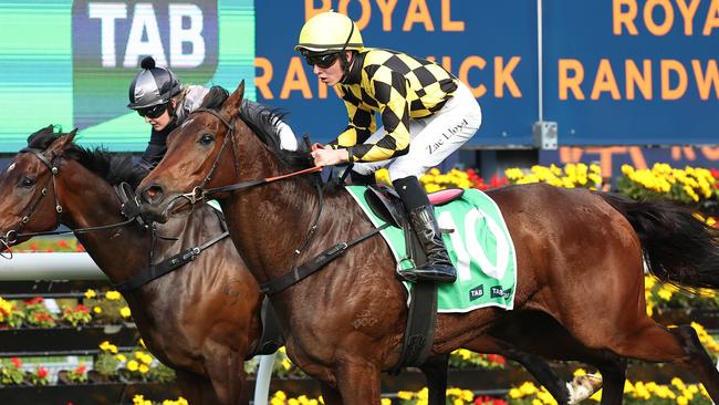 Clear Thinking will make her return on Saturday at Royal Randwick. Picture: Jeremy Ng/Getty Images