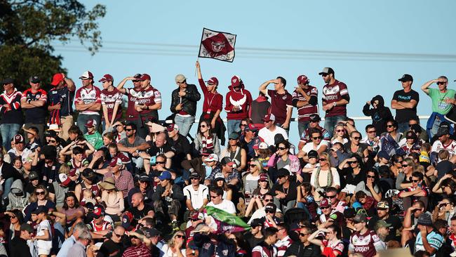 Gold crowd for the NRL match Manly Sea Eagles v Sydney Roosters at Brookvale oval. Picture. Phil Hillyard
