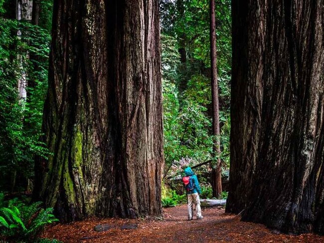 The Solaroz scoping study tells the story of an economically viable development pathway with significant upside potential. Picture: Getty Images.