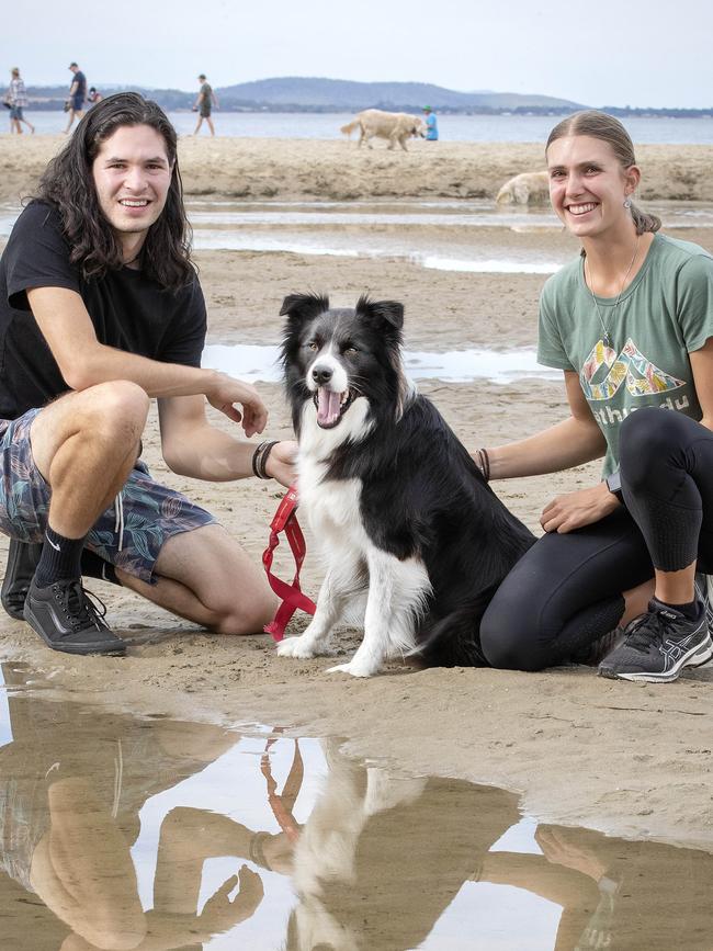 Tassie's cutest dog winner