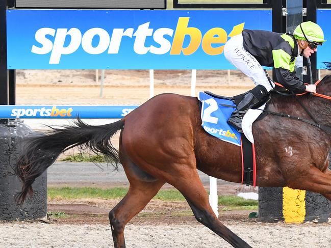 Ho Ho Prince ridden by Will Price wins the Suez Maiden Plate at Sportsbet-Ballarat Synthetic Racecourse on July 13, 2021 in Ballarat, Australia. (Pat Scala/Racing Photos via Getty Images)