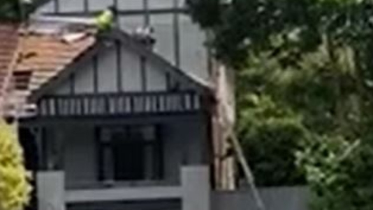 A tradie fell four metres off a roof at a construction site in Bellevue Hill in Sydney. Picture: TIK TOK/ Jaaaybeee12