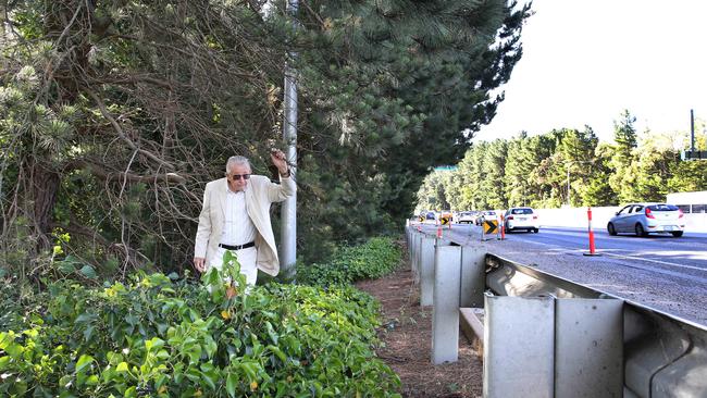 Stirling resident, Oliver Ocorfe, says he wants the State Government to act responsibly ahead of the bushfire season, by clearing vegetation along the South Eastern Freeway. Picture: Dean Martin