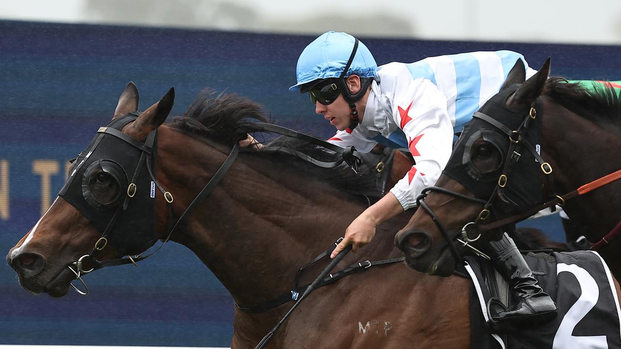 Spanish Fox is seeking a sixth win of the season at Rosehill on Saturday. Picture: Getty Images