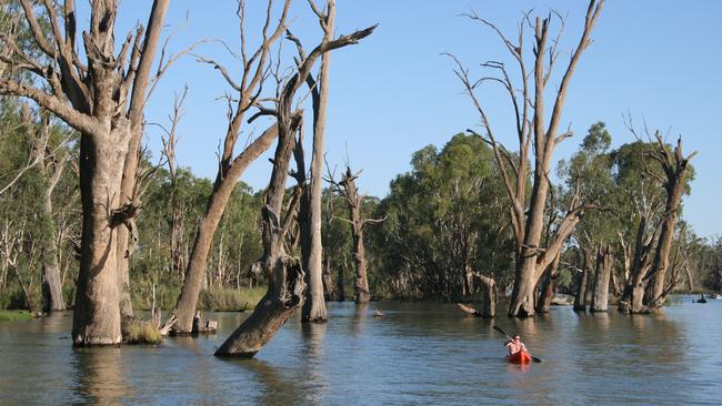 Kayak the Murray River from Gol Gol.