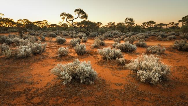 Human remains found in Central Australia had been identified as belonging to a missing Queensland man. Picture: iStock