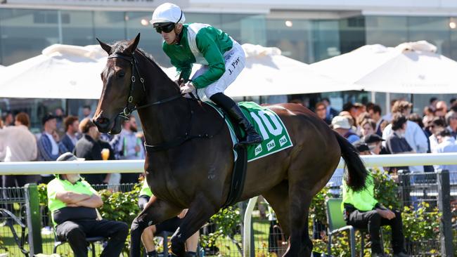 Tajneed can end the day on a high note at Rosehill on Saturday. Picture: Getty Images