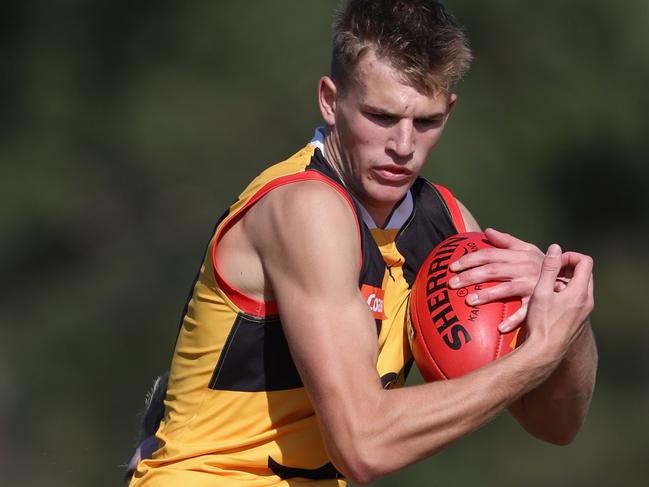 MELBOURNE, AUSTRALIA - MAY 05: Charlie Orchard of the Stingrays marks the ball during the 2024 Coates Talent League Boys Round 06 match between the Dandenong Stingrays and the Gold Coast Suns Academy at Belvedere Reserve on May 05, 2024 in Melbourne, Australia. (Photo by Rob Lawson/AFL Photos)