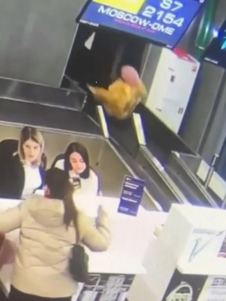 She topples over onto her back and goes through on the conveyor belt.