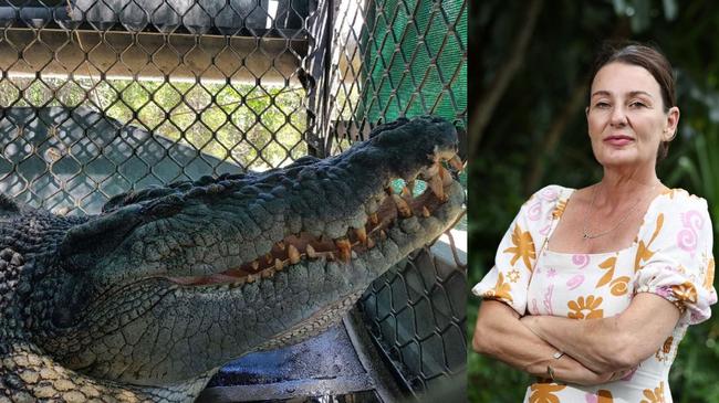 Environmental Defenders Office managing lawyer Kirstiana Ward said that Far North Queensland crocodile conservation will be devastated by the LNP decision to gut their service. Picture: Brendan Radke