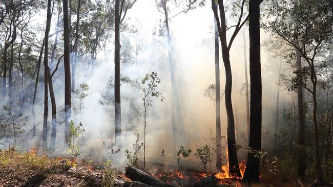 The Queensland Fire and Emergency Service has issued a bushfire warning for Tara as windy conditions fuel a rapidly moving fire.. Picture: Liam Kidston / file