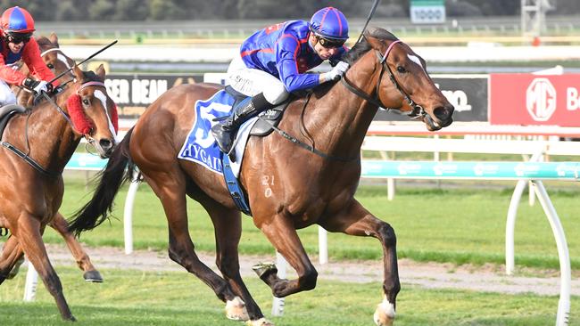 Willmott ridden by Blake Shinn wins the Club Barham 0-64 Handicap at Bendigo Racecourse on September 25, 2024 in Bendigo, Australia. (Photo by Brett Holburt/Racing Photos)