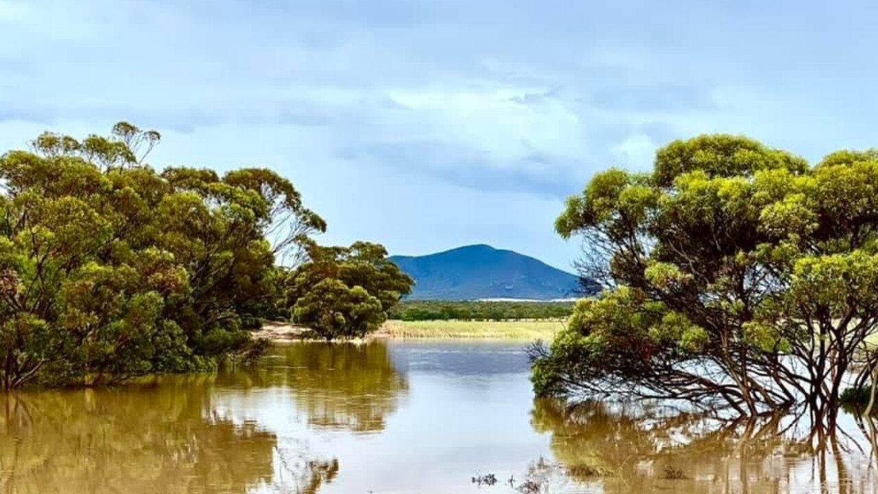 Flooded farmland near Kimba. Picture: Tara Kenny