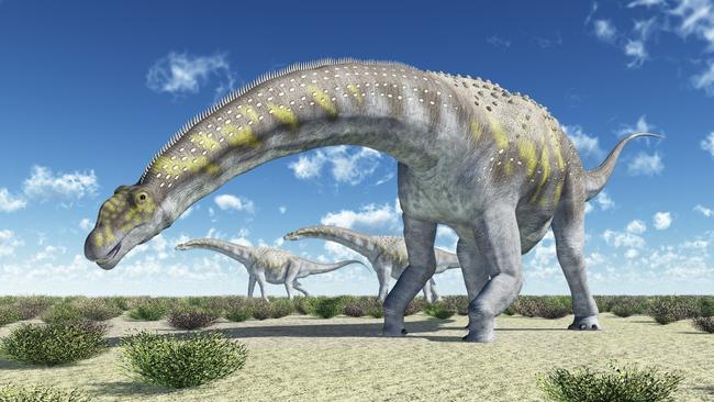 Argentina – big dinosaurs, big copper, little footballers, and now Big Australians. Pic: Getty Images